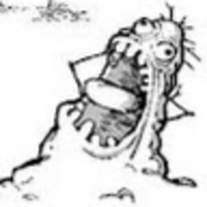 calvinbehunin avatar