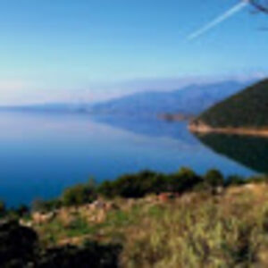 mariakritikou avatar