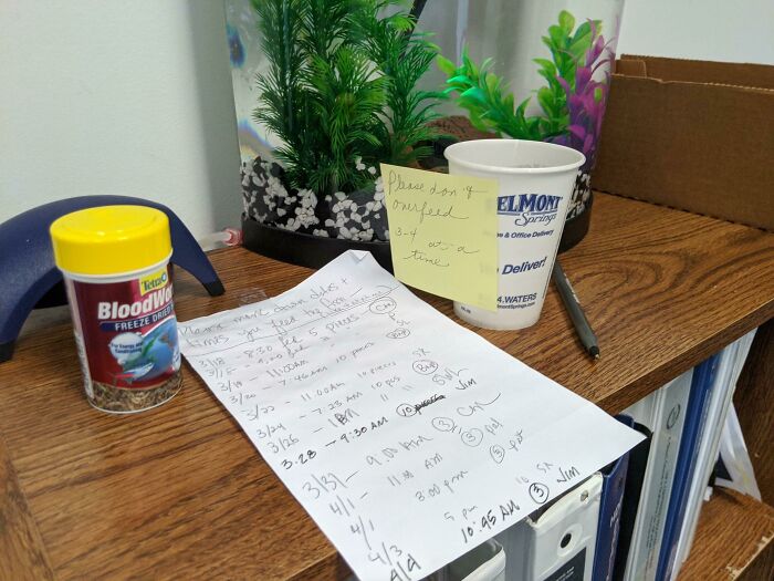 My Office Has Been Working From Home For Weeks. I Had Sent Out An Email Asking That Anyone Who Has To Drop By The Office To Feed My Fish