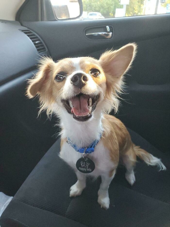 ¡¡Puso esta cara cuando se dio cuenta de que la había adoptado!! 