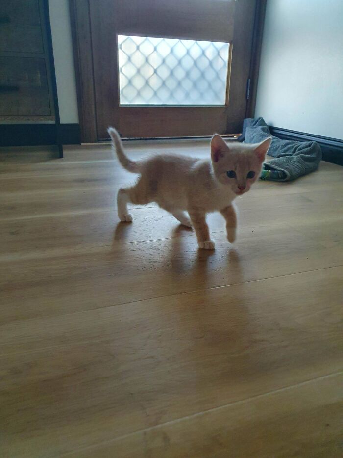 Rescue: Day 1 To Today. She's Happy I Think