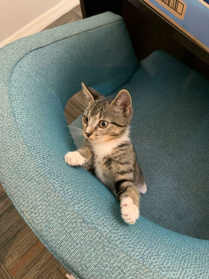 My Fiancée And I Are Adopting This Little Girl! Any Name Ideas? (Food/Drink Names Preferred)