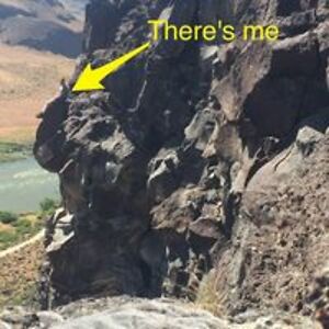 treehugger106 avatar