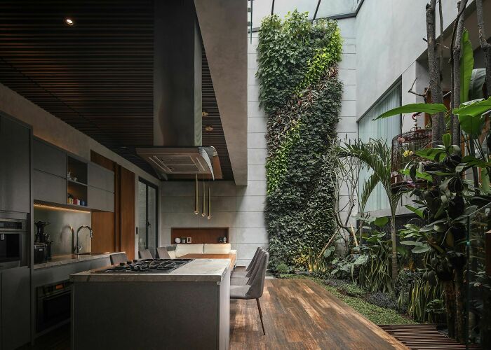 Indoor Garden Getting Sunlight From A Double Height Skylight Next To The Kitchen, Bandung, West Java, Indonesia
