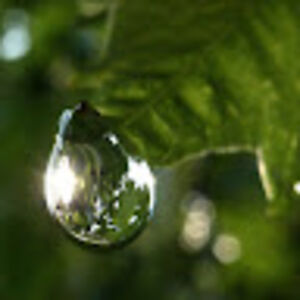 raindrop_1 avatar