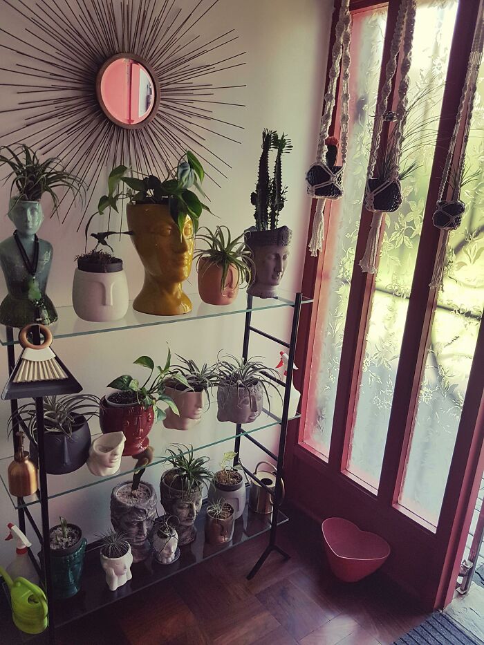 Collecting Planters Shaped Like Heads.