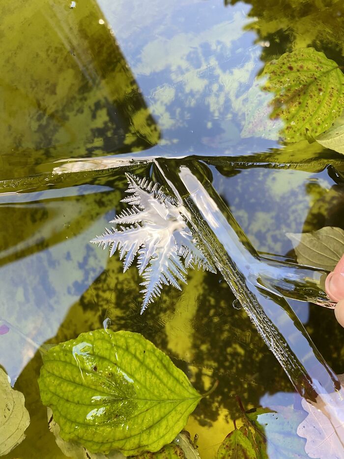 The Way Water Started Freezing In My Backyard