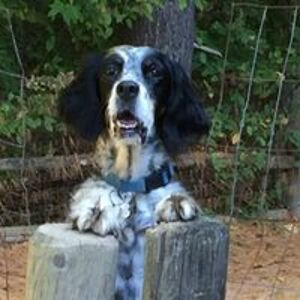 jeanne_cotrofeld avatar