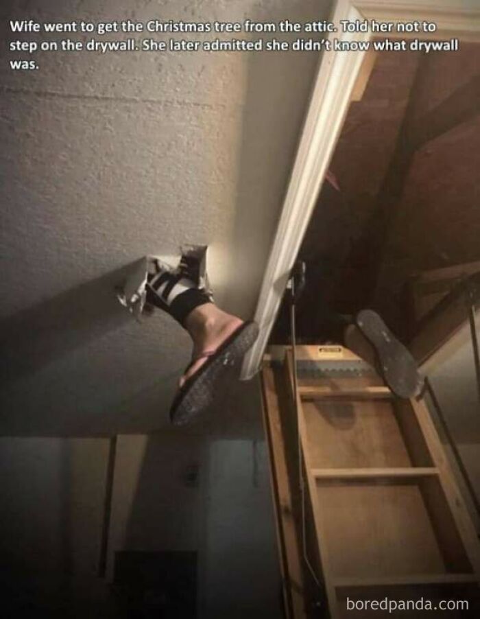 A Friend Sent Me This Picture Today