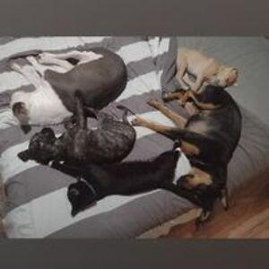 millersrecovery avatar