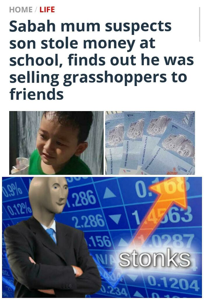 Im Going To Start An Insect Business Too