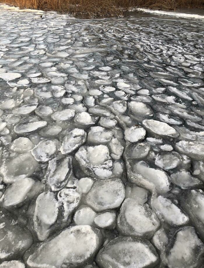 The Way This Pond Froze