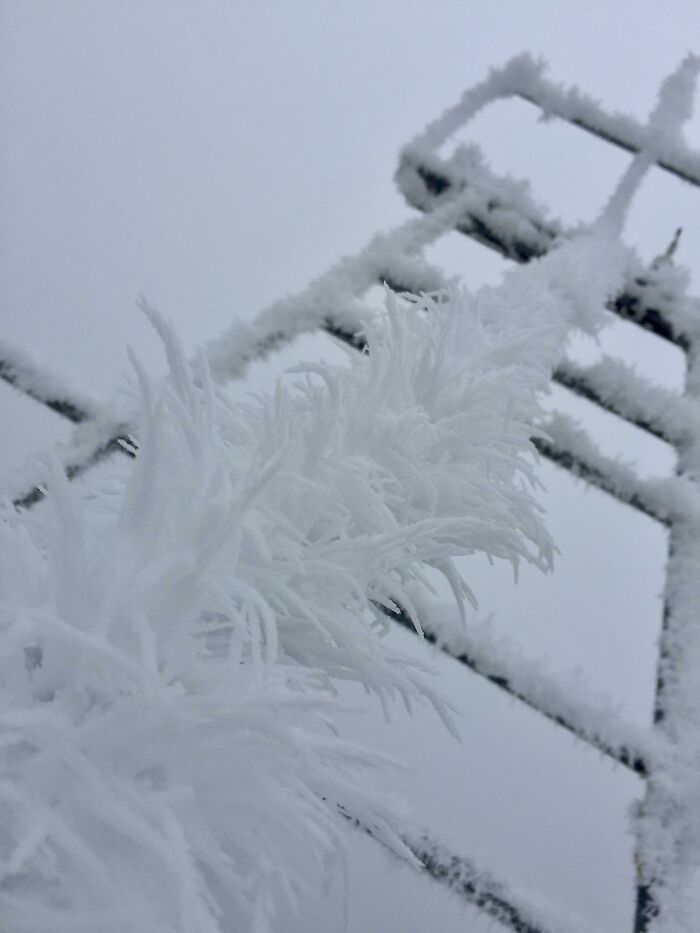 Freezing Fog (Hoar Frost) On Top Of A Wind Turbine