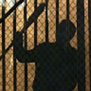 iamtheonewhoknocks avatar