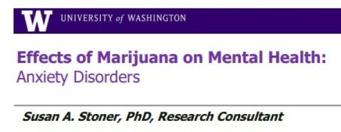 University of Washington presentation slide on m*******a effects, showing speaker Susan A. Stoner, PhD, about mental health topics.
