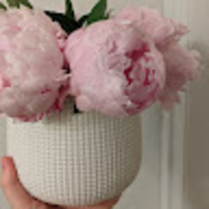 rachelwalsh_1 avatar