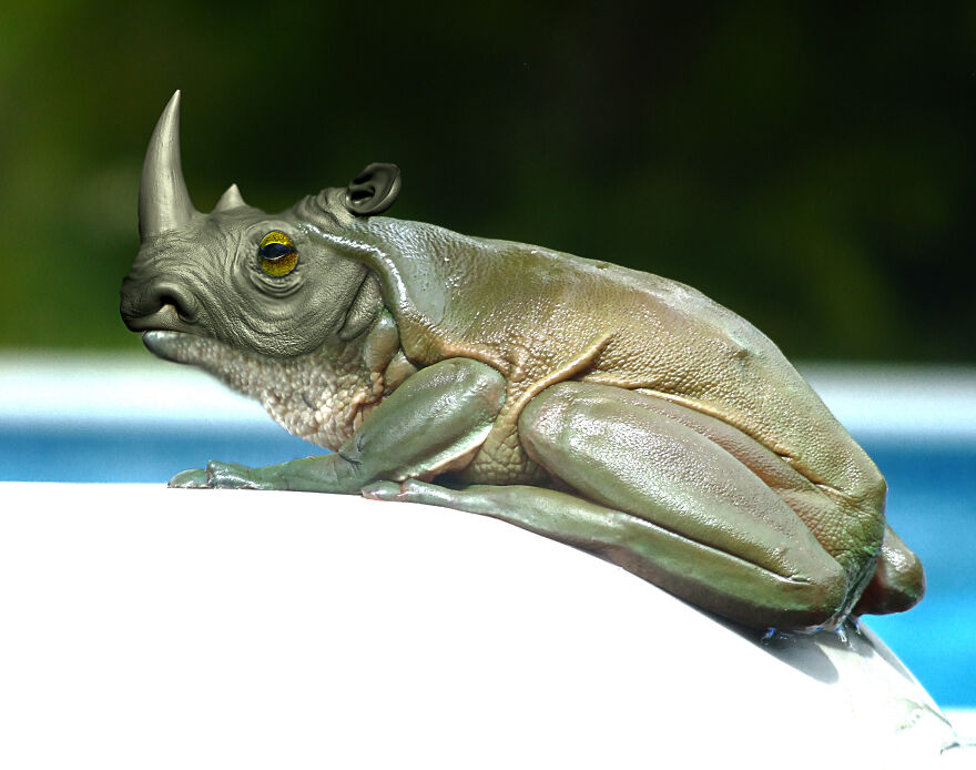 Digital Artists Are Challenged To Photoshop Frogs And Here Are The 30 Best Images