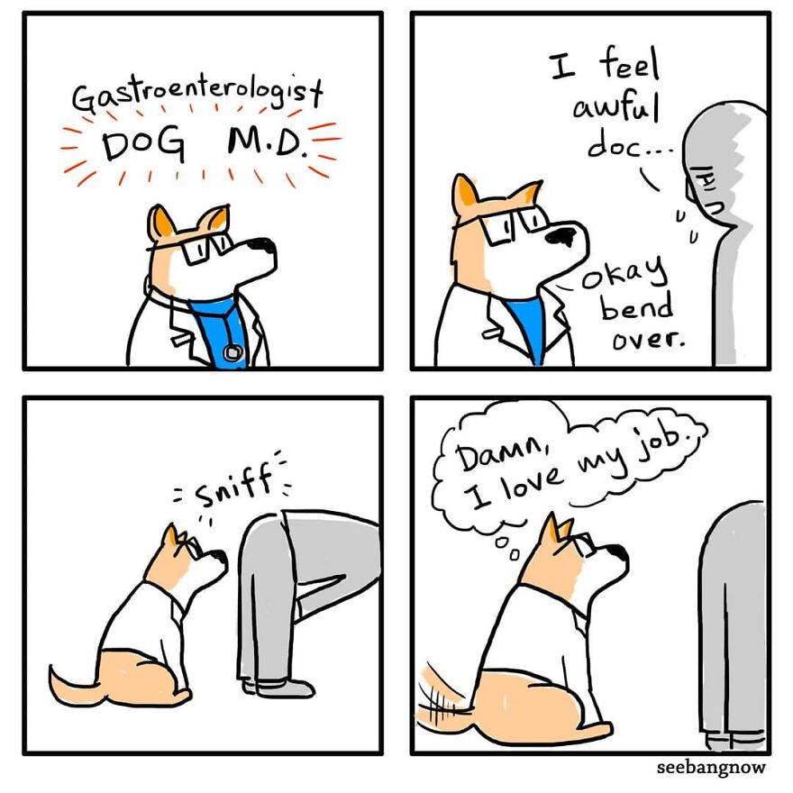 Illustrator Shows In Funny Comics What Dogs Really Think (30 Comics)