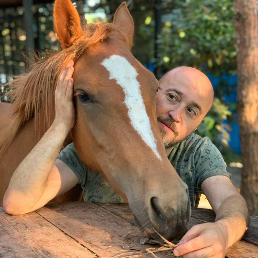 Este hombre transformó su granja en un refugio de animales con perros y gatos, pero también caballos, gaviotas y más