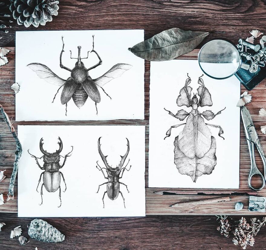 I Draw Stylized Animals In My Sketchbook