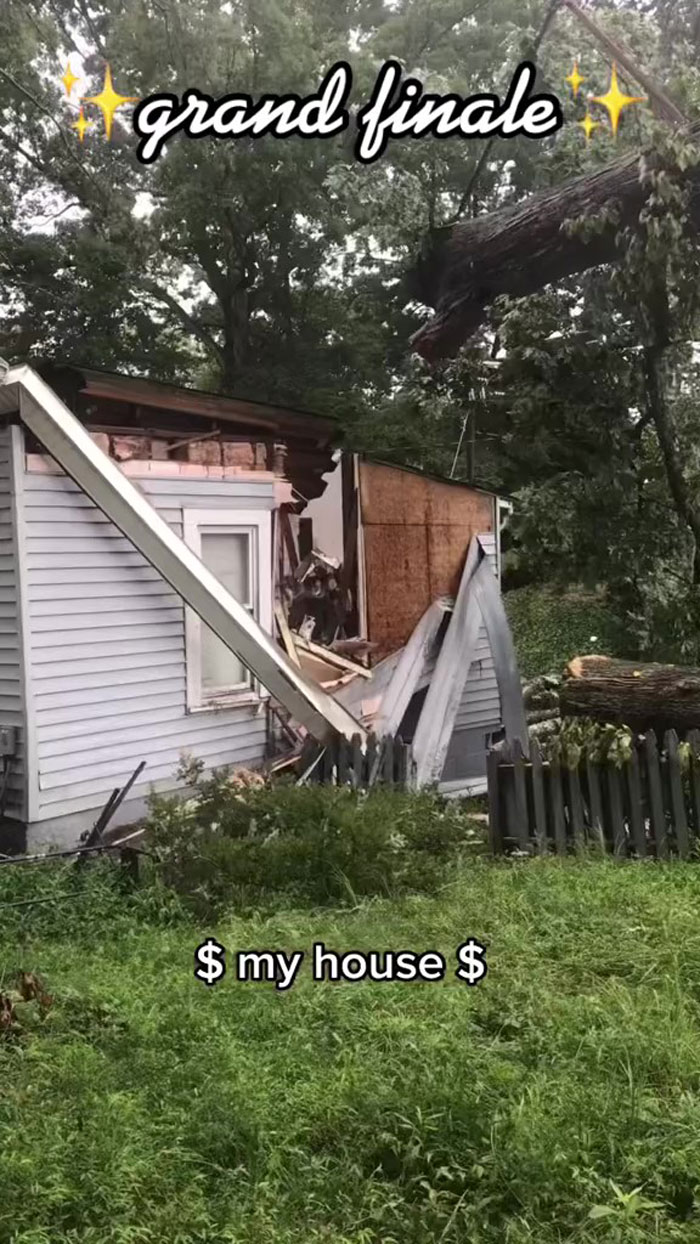 Woman Buys A House From Hell Where Random Disasters Keep Happening Which, In The End, Gets Destroyed By A Huge Tree Falling On It 
