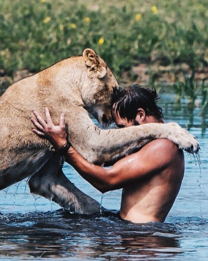 This Lioness Repays Her Caregiver Of 10 Years With Hugs And Cuddles