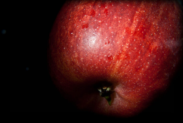 Someone Online Asked, ‘What Do People Pretend Is In The Bible But Is Absolutely Not In The Bible?’ And 25 People Delivered