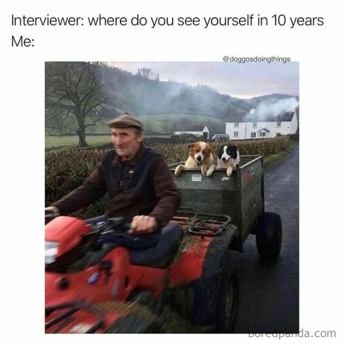 Funny-Corporate-Millennial-Jokes