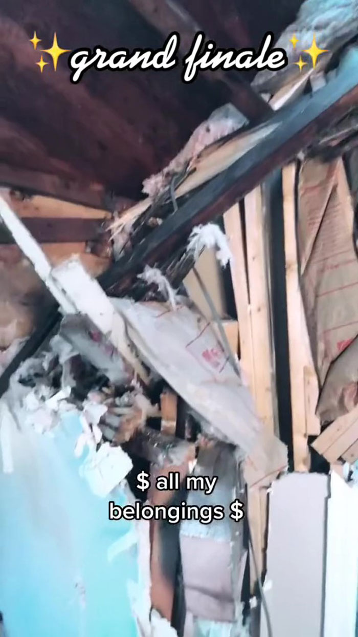 Woman Buys A House From Hell Where Random Disasters Keep Happening Which, In The End, Gets Destroyed By A Huge Tree Falling On It 