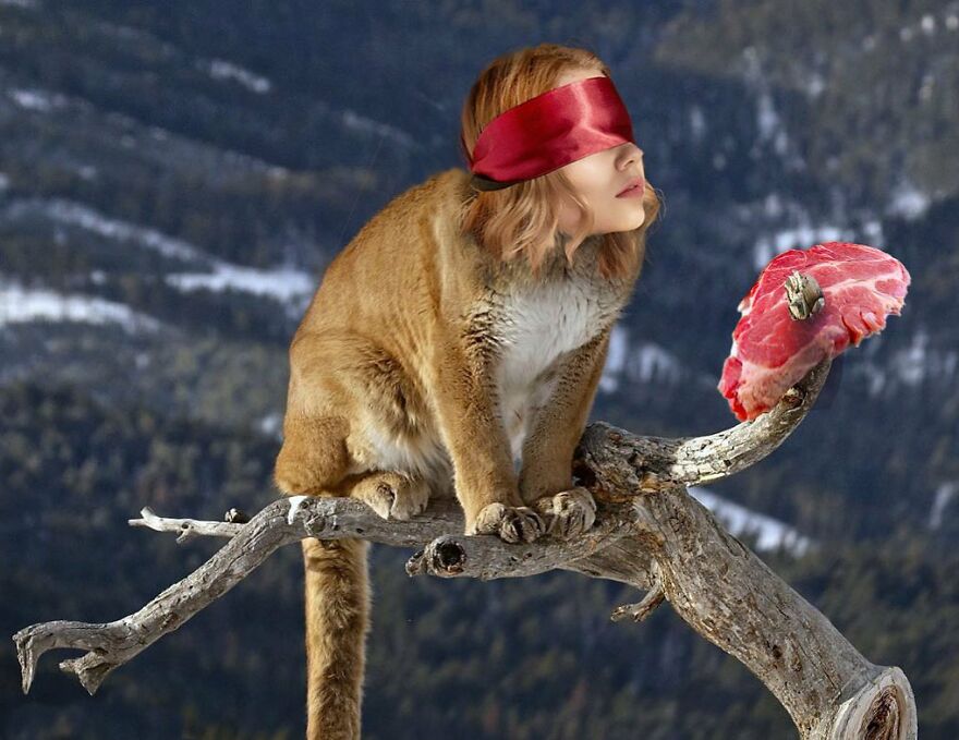 Looking At These Funny Collages, You're Going To Get A Brain Cramp (33 New Photos)