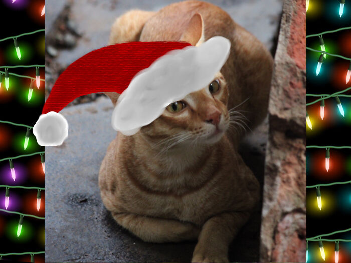 I Gave Him/ Her Some Christmas Cheer