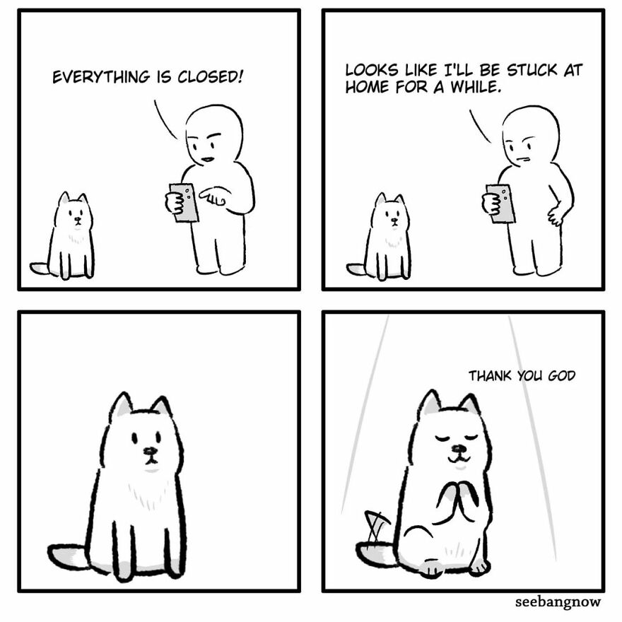 Illustrator Shows In Funny Comics What Dogs Really Think (30 Comics)