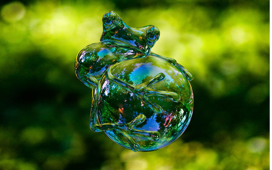 Digital Artists Are Challenged To Photoshop Frogs And Here Are The 30 Best Images