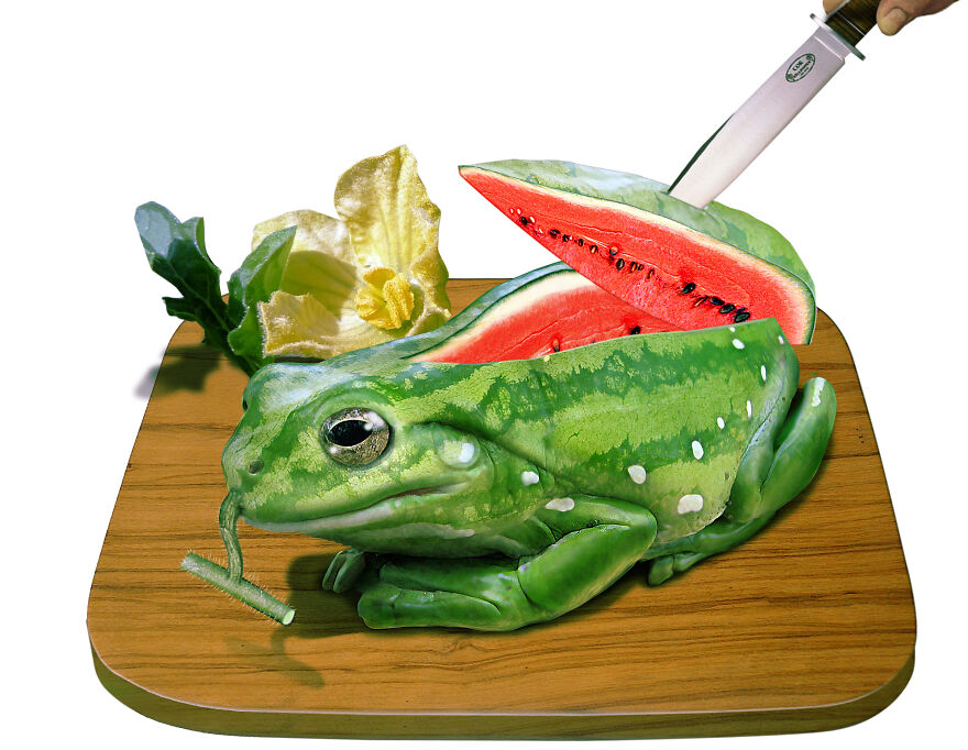 Digital Artists Are Challenged To Photoshop Frogs And Here Are The 30 Best Images