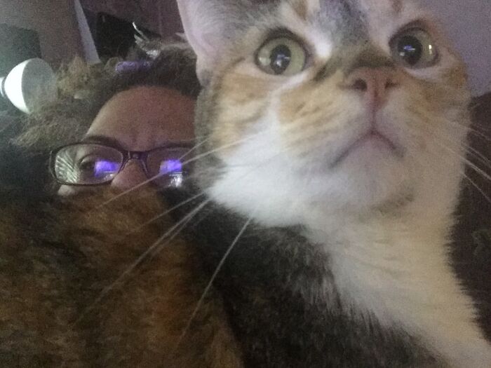 Well, I Was Reading The Paper…