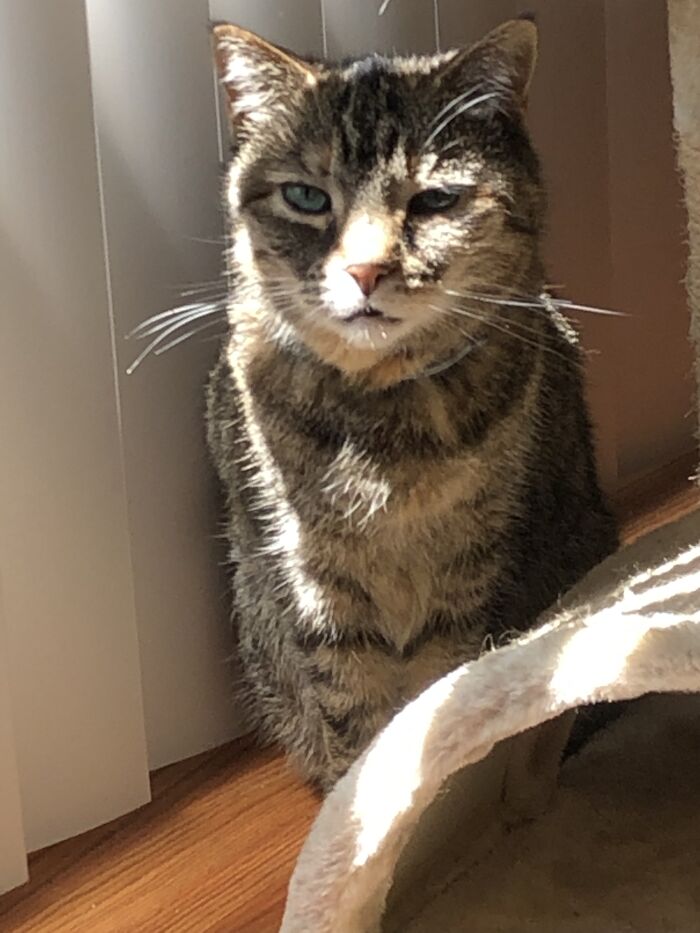 The Look I Got When I Reminded Her She Already Ate