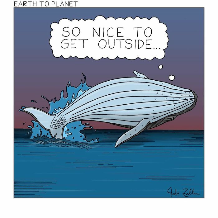 Cartoon of a whale jumping from water with a thought bubble saying so nice to get outside, comic about absurd fun situations.