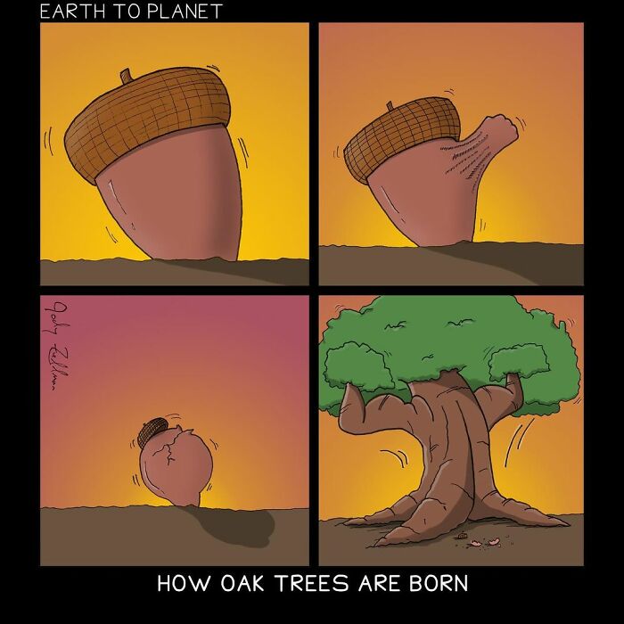 Comic panels showing an acorn wobbling and growing absurdly into a large oak tree in a fun and humorous art style.