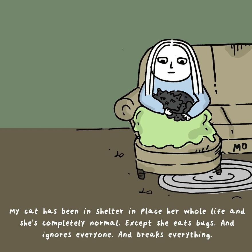 Artist Makes Identifiable Comics For Those Approaching 30 Years Old