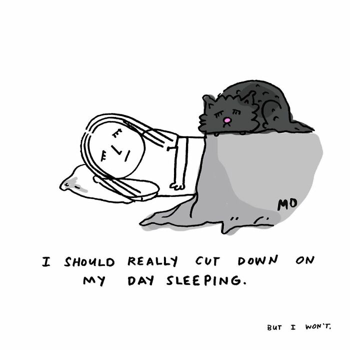 Relatable comics about reluctant adults showing a person sleeping with a cat and a humorous caption about day sleeping.