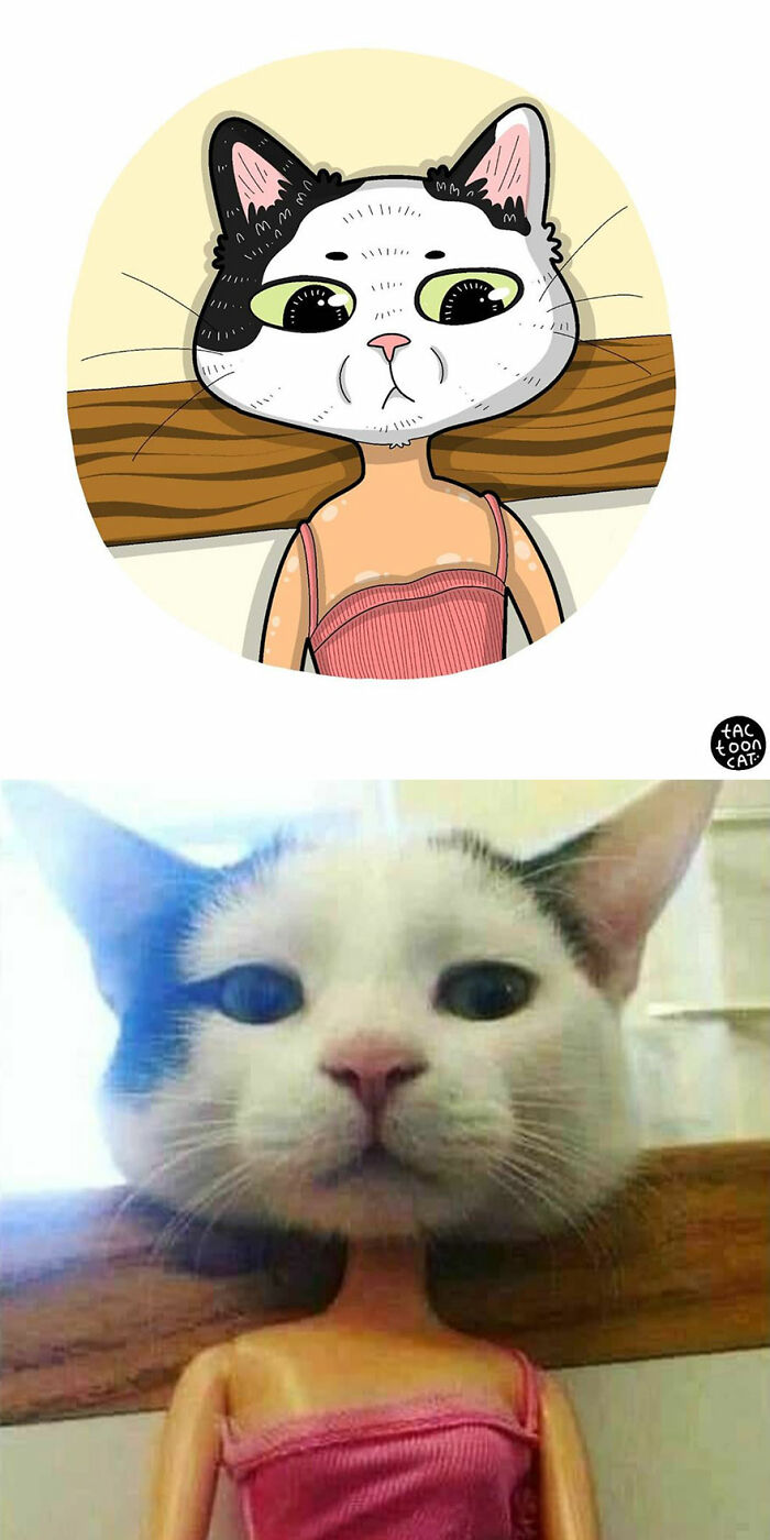 30 Of The Funniest Internet-Famous Cat Pics Get Illustrated By Tactooncat (New Pics)
