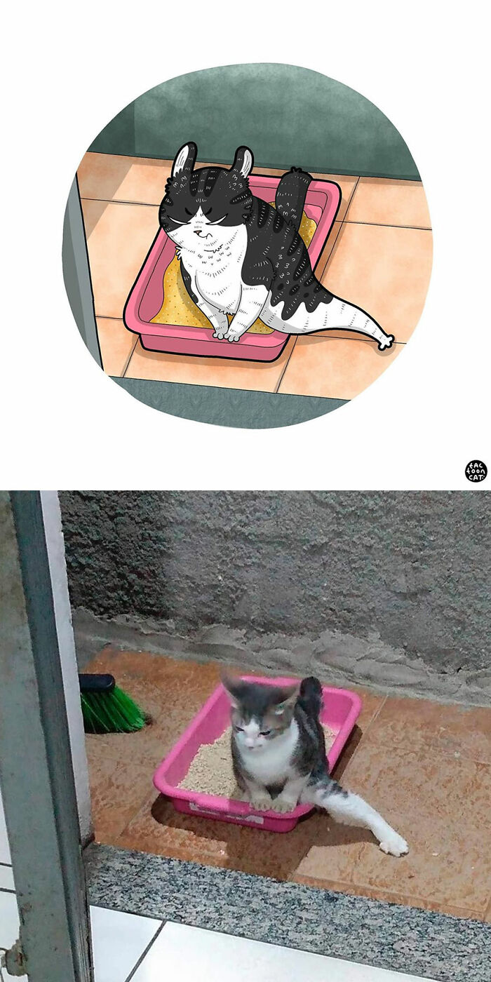 30 Of The Funniest Internet-Famous Cat Pics Get Illustrated By Tactooncat (New Pics)