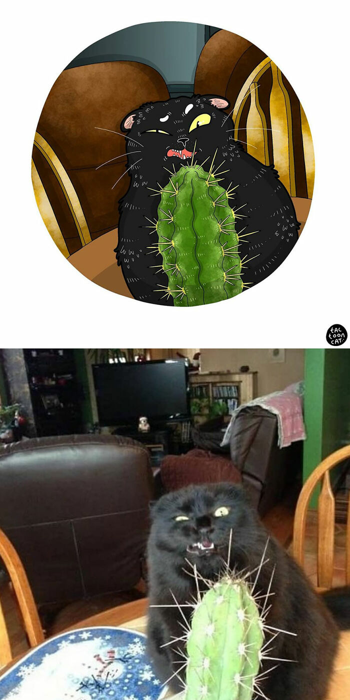 30 Of The Funniest Internet-Famous Cat Pics Get Illustrated By Tactooncat (New Pics)