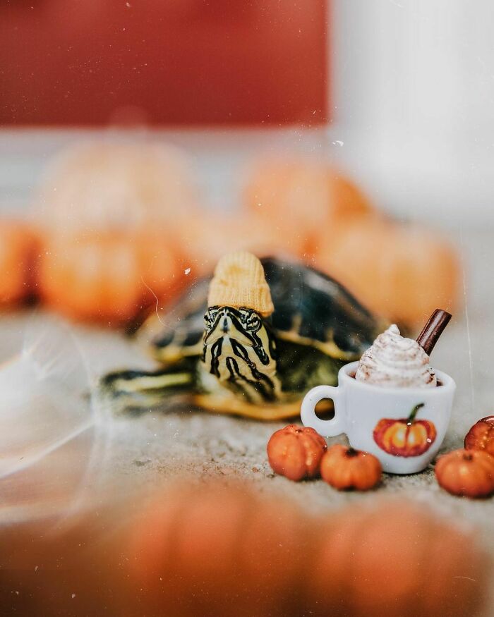 Excuse Me, There Seems To Be A Mistake. I Believe I Ordered The *small* Cappuccino. Look At The Size Of This Thing