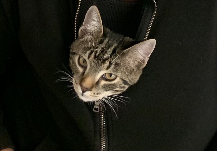 Gene, All Zipped Up In Comfy Town!