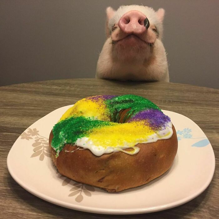 Ready To Kiss The Chef