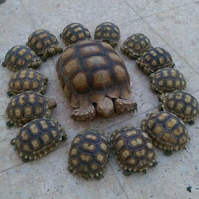 We All Got Lessons To Learn