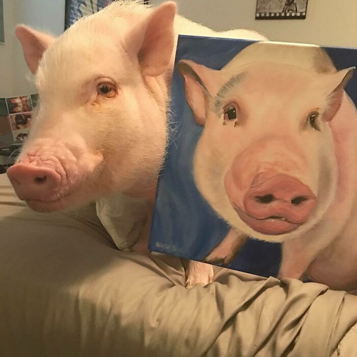 Ooooomg Look At Me! And... Me!