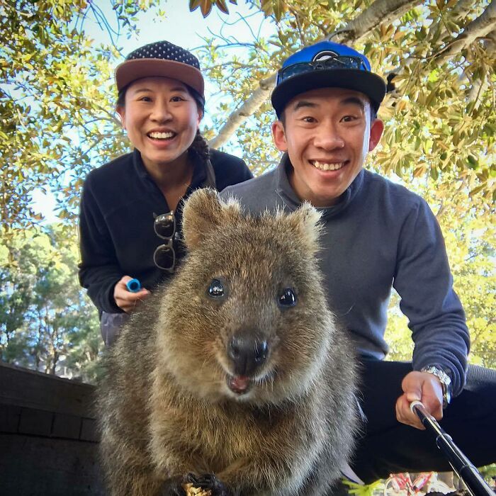 Say Cheeeese... Selfie Time With The Happiest Animal On Earth