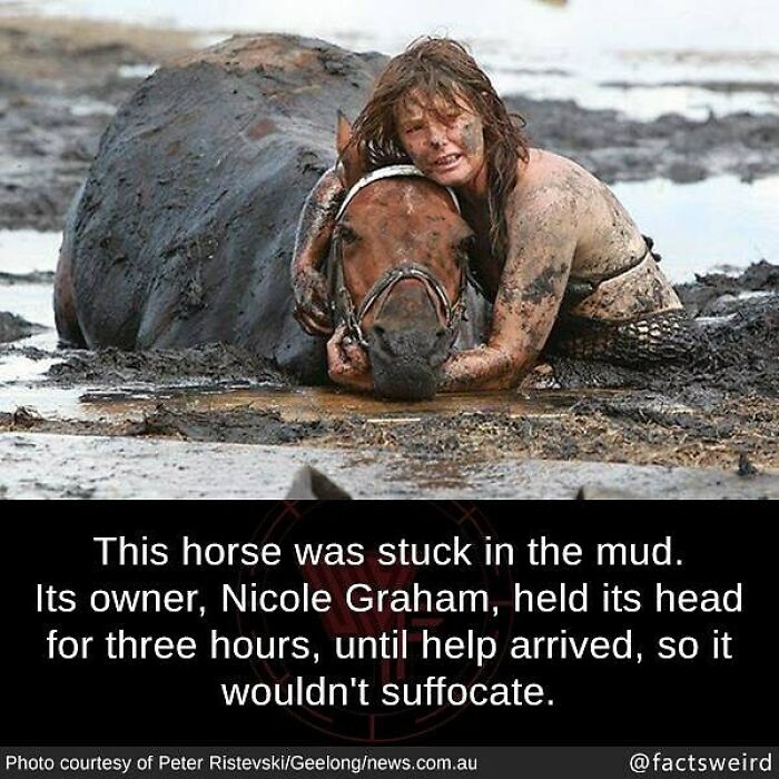Woman covered in mud holding a horse's head stuck in mud, illustrating weird facts about the world and unusual events.